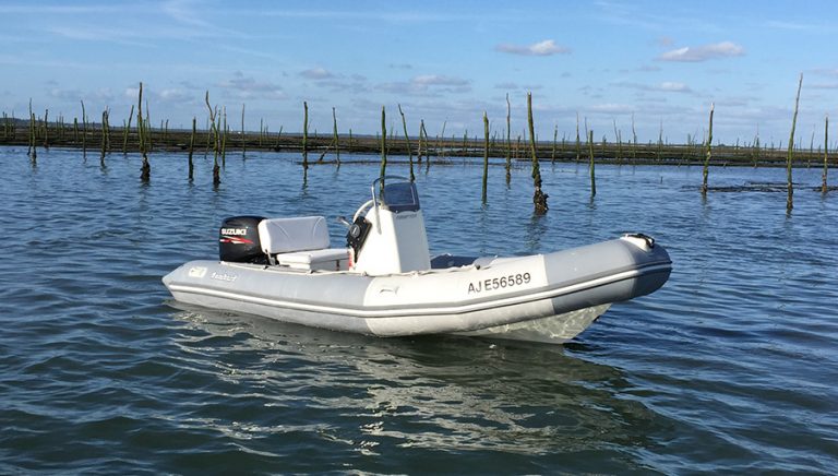 RIBSTER 500